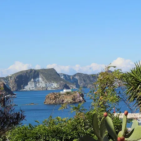 Bed & Breakfast Agenzia Isotur Olimpia Ponza